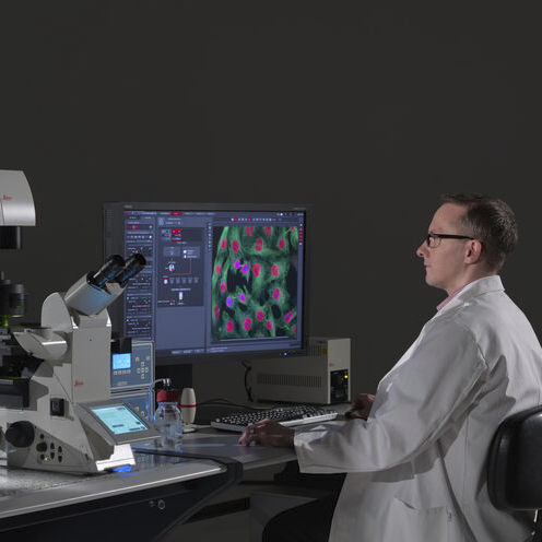 成像软件 - LAS X Life Science - Leica Microsystems GmbH/徕卡 - 用于显微镜 / Windows
