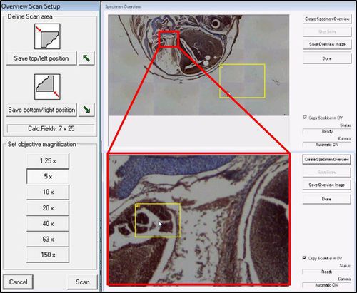 实验室软件 - LMD Software - Leica Microsystems GmbH/徕卡 - 用于显微镜