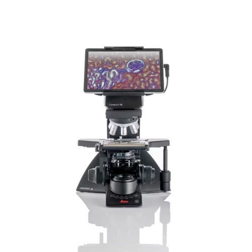 光学显微镜 - Visoria B - Leica Microsystems GmbH - 实验室 / 用于材料研究 / 临床