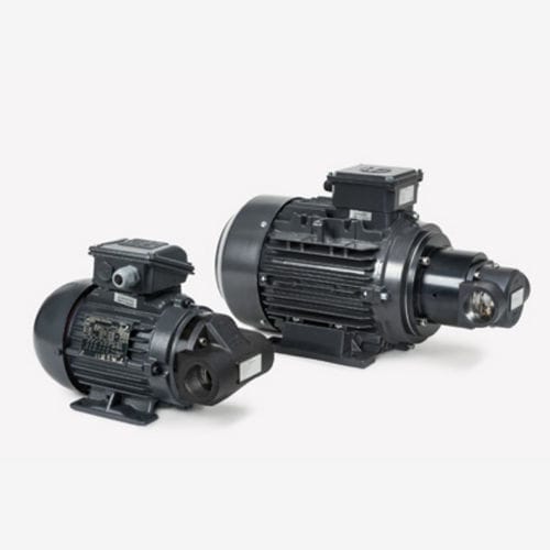 内齿轮泵泵 - BFP series - Bühler Technologies/德国BUHLER - 油 / 电动 / 固定式