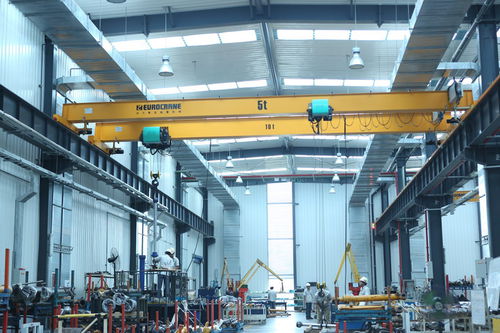 单梁桥式起重机 - 00024 - Eurocrane(China)Co.,Ltd - 轻型 / 钢型材