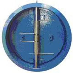 双瓣式止回阀 - 3240 - INTERNATIONAL FLUIDES CONTROLES - 法兰 / 消防保护 / 水网