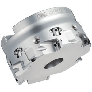 套式立铣刀 - FM series - BIG KAISER Precision Tooling Inc. - 齿刀 / 面 / 用于生铁