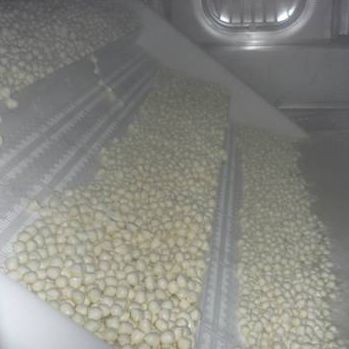 奶酪生产线 - Mozzarella pearls - Almac S.r.l.