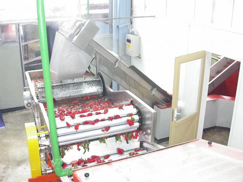 吹风清洗机 - Thermohran Engineering JSC - 自动 / 食品工业