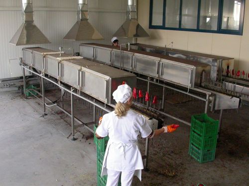 隧道炉 - Thermohran Engineering JSC - 熟化 / 电动 / 不锈钢
