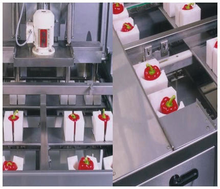 菜椒捅芯机 - Finis Foodprocessing Equipment B.V.