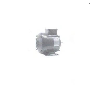 三相电机 - T series - Dynamotor De Coster - 220伏