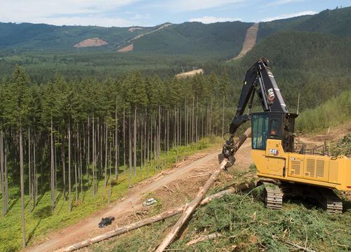 中型挖掘机 - FM548  - Caterpillar Equipment/卡特彼勒 - 履带式 / 柴油 / 林业
