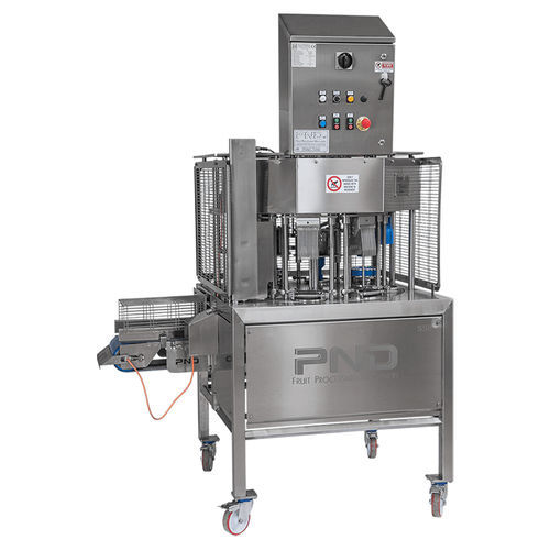 菠萝水果分切机 - SS8P - PND Fruit Processing Machinery