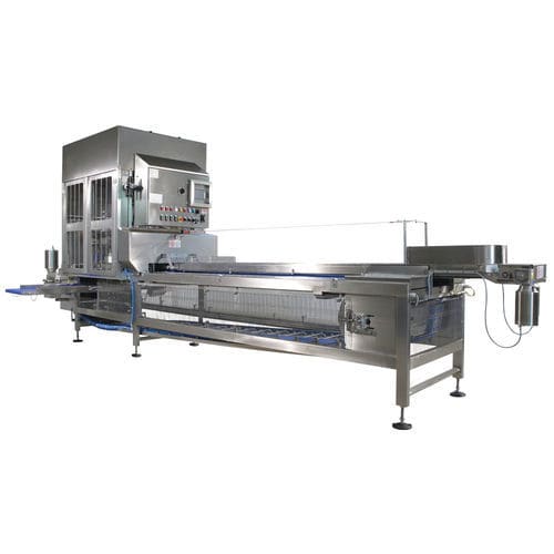 水果切片机 - DF12 - DF24 - PND Fruit Processing Machinery - 自动 / 刀式 / 卧式