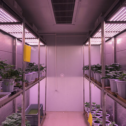 温度试验箱 - WIPGC-01 - Fujian Jiupo Biotechnology Co., Ltd. - 湿度 / 垂直 / 不锈钢