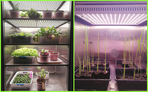 植物生长箱bpc300hw/c