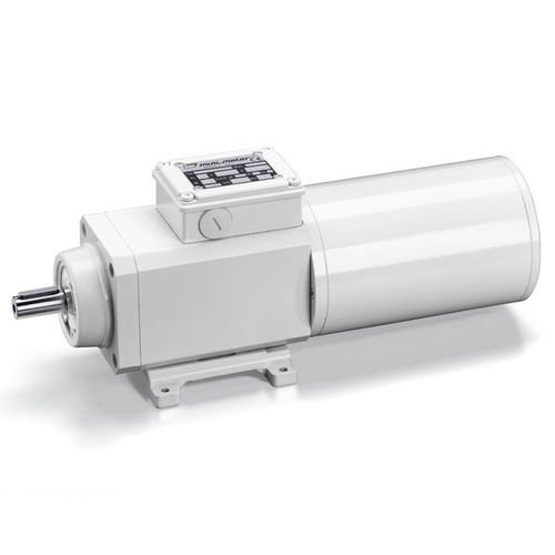 螺旋齿轮减速电机 - PAF - Mini Motor SPA/意大利MINIMOTOR - 异步 / 三相 / 同轴