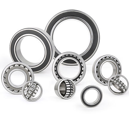 滚筒轴承 - SRB - Zhejiang Tianma  Bearing  Group Co.，Ltd. - 双排 / 钢 / 自调心