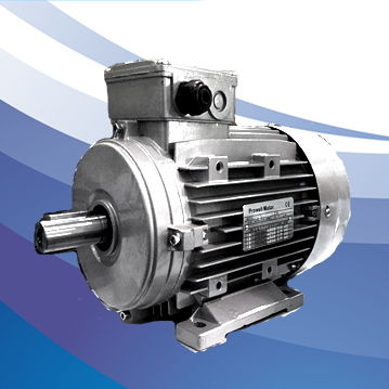 感应电机 - АИР series - FUJIAN YONGDASHENG ELECTRICAL MACHINERY CO., LTD - 三相 / 670 V / 400V