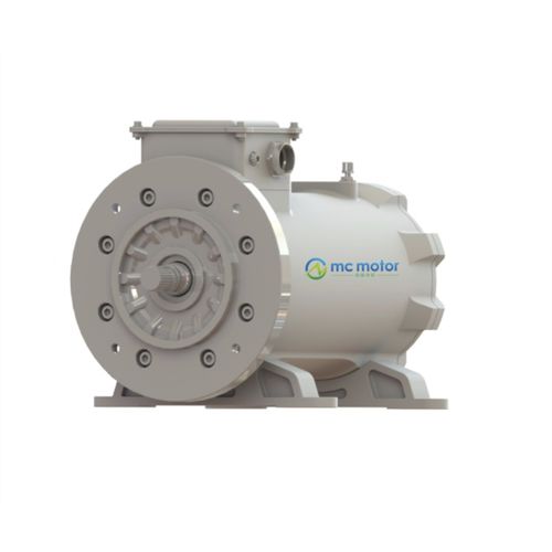 同步电机 - SRPM165H4XO90 - MC MOTOR TECHNOLOGY CO., LTD - 交流 / 380V / 4极
