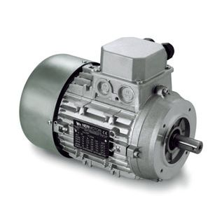 两种可选速度电机 - DP series - Neri Motori - 感应 / 三相 / 400V