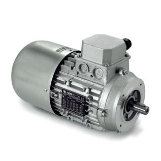 感应电机 - AI series - Neri Motori - 三相 / 400V / 380V