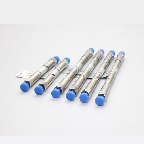 离子色谱柱 - SH-CC-3 - Qingdao Shenghan Chromatograph Technology Co., Ltd