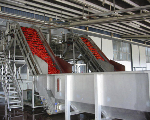 铰接传送带输送机 - Agromeccanica srl - 倾斜 / 升降 / 水果