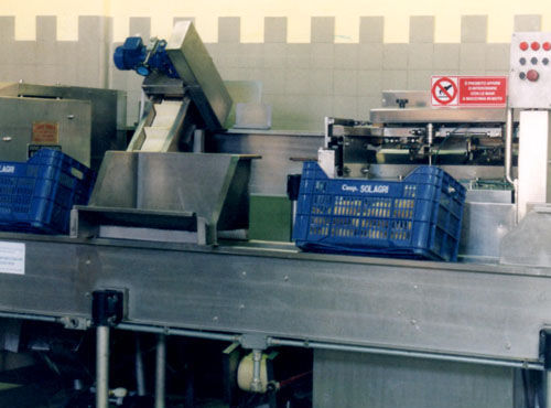 柑橘类去皮机 - Agromeccanica srl
