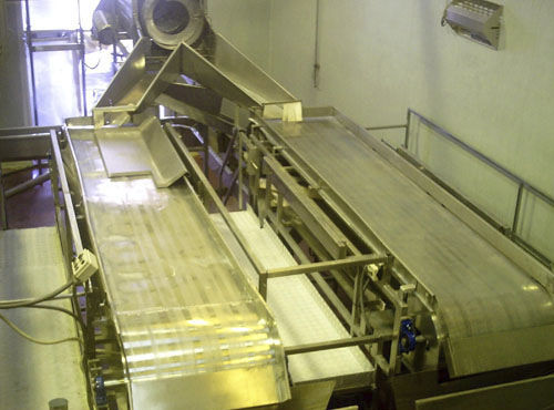 分选输送带 - Agromeccanica srl