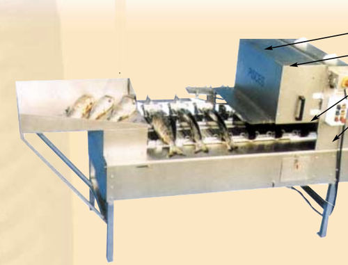 鱼类去头机 - HV 40 - Pisces Fish Machinery Inc.