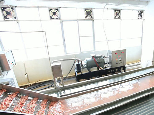 水冷却系统 - ZD-XL 6000 - Shrimp Machine - 虾 / 不锈钢 / 带式输送机