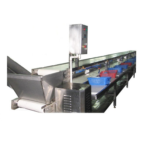 剥虾壳机 - ZD-XL 10000 - Shrimp Machine