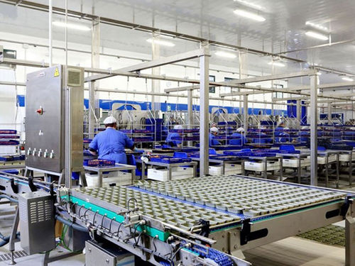 易拉罐喂料系统 - Hermasa - Cannin Technology - 用于空容器