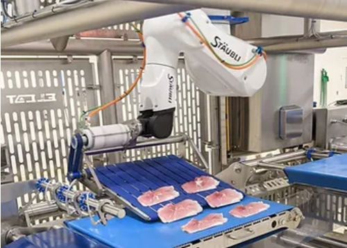 关节型机器人 - ELCAT FOOD TECHNOLOGY - 取放式 / 装载 / 填充