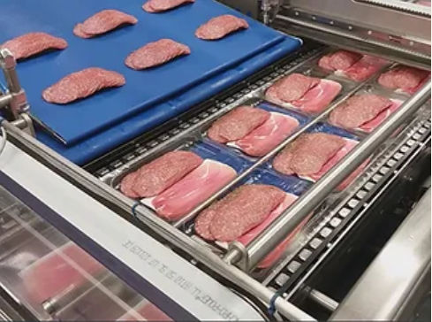 卧式装车机 - ELCAT FOOD TECHNOLOGY - 自动 / 用于奶酪 / 用于肉类