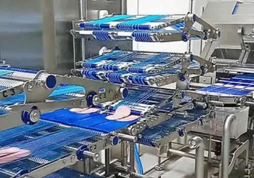 覆盖式包装机 - ELCAT FOOD TECHNOLOGY - 自动 / 连续运动式 / 用于食品