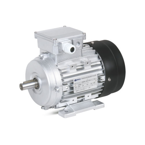 异步电机 - MSW series - Fujian Huada Electric CO.,Ltd - 交流 / 铝框架 / 不锈钢