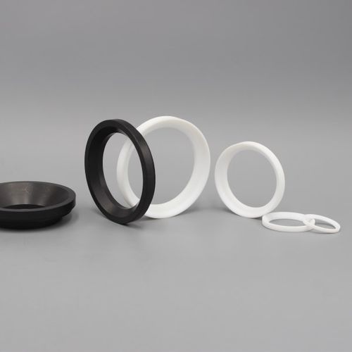 球形阀用密封 - Dytron Advanced Materials Co., ltd - PTFE / 泵用 / 化学应用
