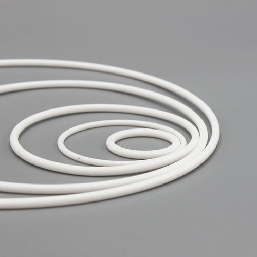 O形密封圈 - Dytron Advanced Materials Co., ltd - PTFE