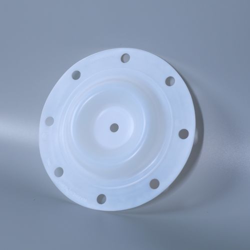 PTFE膜 - Dytron Advanced Materials Co., ltd - 防水处理 / 用于膜式泵 / 热塑性塑料