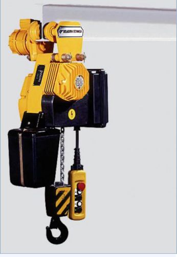 电动环链葫芦 - T BYC 104M 2 - Alexandria Crane Systems