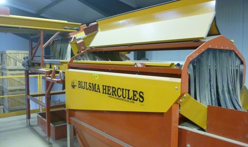 刷式食品清洗机 - BBM 1710 - Bijlsma Hercules BV - 洋葱 / 土豆 / 带传送带