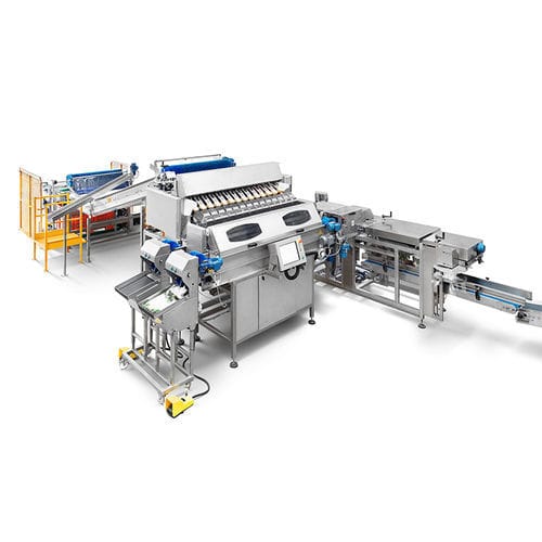 线性称重设备 - CALIBRA WEIGHER.F12 - CALIBRAFRUTA LDA - 电子 / 食品工业 / 不锈钢