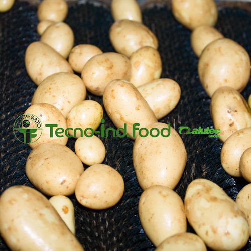 土豆加工流水线 - Alutec Food CAMPESATO® - 清洗 / 分拣