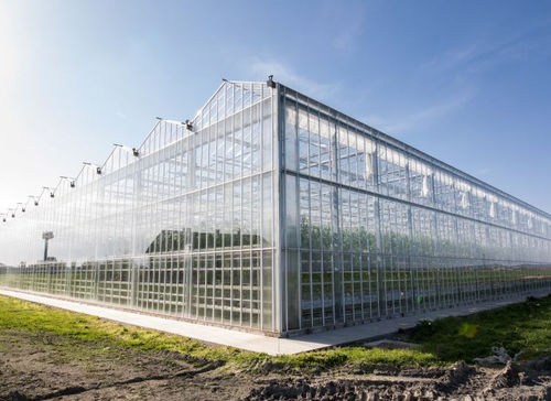 板玻璃 - Gakon Horticultural Projects BV