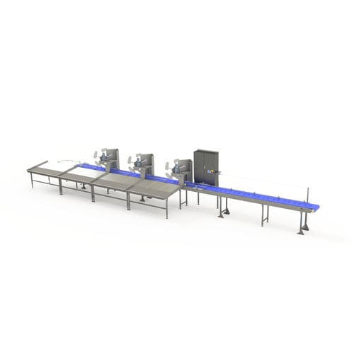 食品工业分拣系统 - ZTI smart machines - 带式