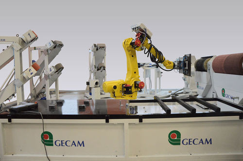 上下料机器人 - GECAM SRL - 用于卸货 / 末道 / 排出