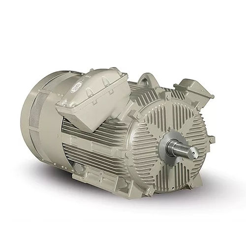 中电压电机 - Quantum® LMV - GE Motors - 交流 / 感应 / 380V