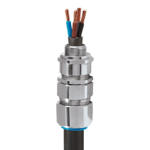 镀镍黄铜电缆接头 - E1W - CMP Products - 黄铜 / 铝框架 / IP66