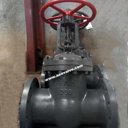 闸阀 - GOST  - WENZHOU AEA VALVE CO., LTD. - 飞轮 / 法兰凸缘 / 不锈钢