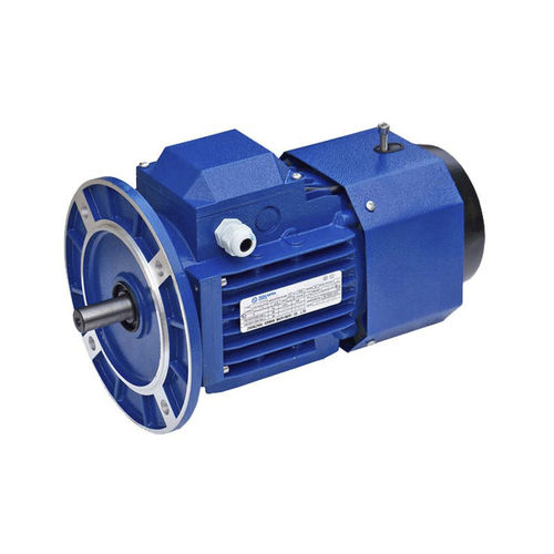 感应电机 - YEJ Series - Zhengzhou Aokman Machinery Co., Ltd. - 直流 / 铝框架 / 密封