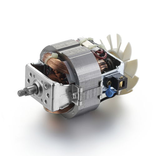 异步电机 - Ningbo BG Motor Factory - 单相 / 220伏 / 用于小型电动工具